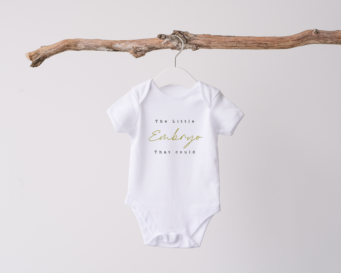 Personalised The Little Embryo That Could Babygrow